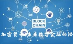 曼群岛新加密货币：未来数字金融的潜力与挑战