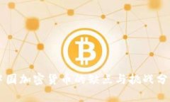 中国加密货币的缺点与挑战分析