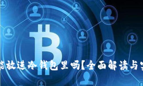 泰达币能放进冷钱包里吗？全面解读与实用指南