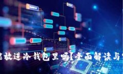 泰达币能放进冷钱包里吗？全面解读与实用指南