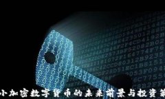 中小加密数字货币的未来前景与投资策略