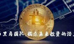 加密货币黑马团队：揭示未来投资的潜力与机遇