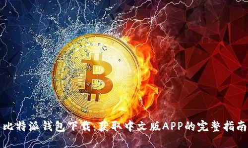 比特派钱包下载：获取中文版APP的完整指南