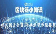 冷钱包搞笑图片合集：小幽默带你缓解钱包危机