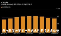 国内数字加密货币的发展现状与未来趋势
