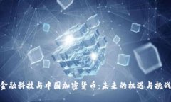 金融科技与中国加密货币：未来的机遇与挑战