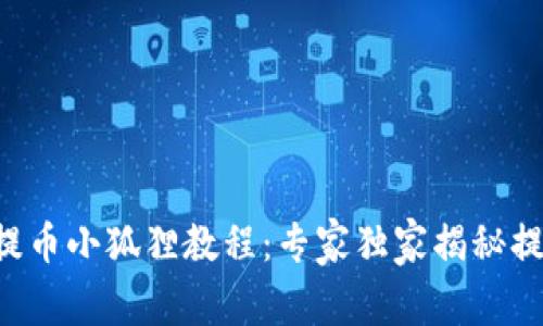 中本聪提币小狐狸教程：专家独家揭秘提币秘诀！