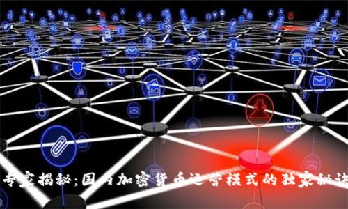 专家揭秘：国内加密货币运营模式的独家秘诀