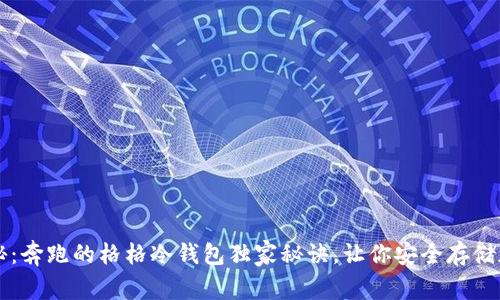 专家揭秘：奔跑的格格冷钱包独家秘诀，让你安全存储加密资产