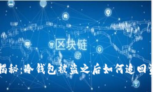 专家独家揭秘：冷钱包被盗之后如何追回资产的秘诀