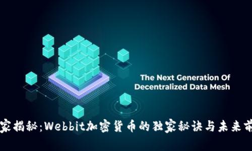 专家揭秘：Webbit加密货币的独家秘诀与未来前景