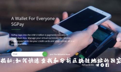 专家揭秘：如何快速查找和分析区块链地址的独家秘诀