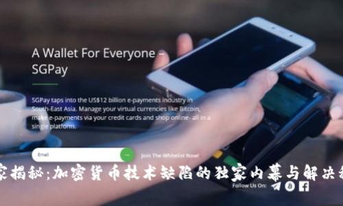 专家揭秘：加密货币技术缺陷的独家内幕与解决秘诀