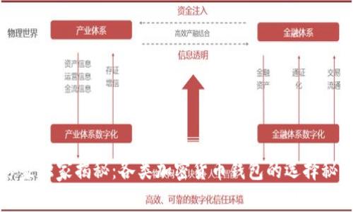 专家独家揭秘：各类加密货币钱包的选择秘诀