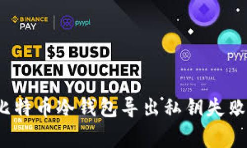 专家揭秘：比特币冷钱包导出私钥失败的独家秘诀