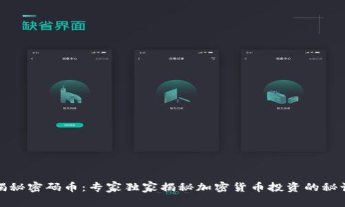 揭秘密码币：专家独家揭秘加密货币投资的秘诀