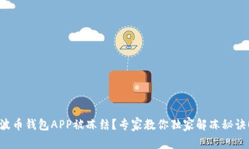 波币钱包APP被冻结？专家教你独家解冻秘诀！