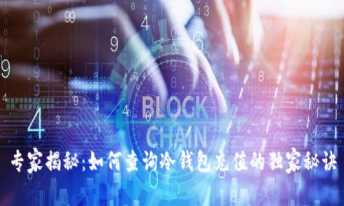 专家揭秘：如何查询冷钱包充值的独家秘诀