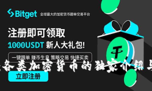 专家揭秘：各类加密货币的独家介绍与投资秘诀