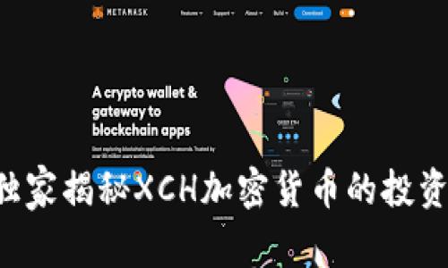 专家独家揭秘XCH加密货币的投资秘诀！