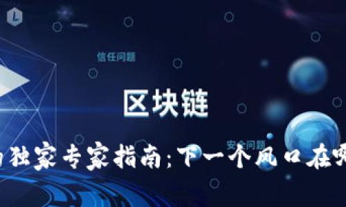 2024年加密货币的独家专家指南：下一个风口在哪里？掌握这些秘诀！