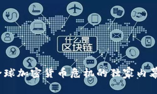 专家揭秘：全球加密货币危机的独家内幕与解决秘诀