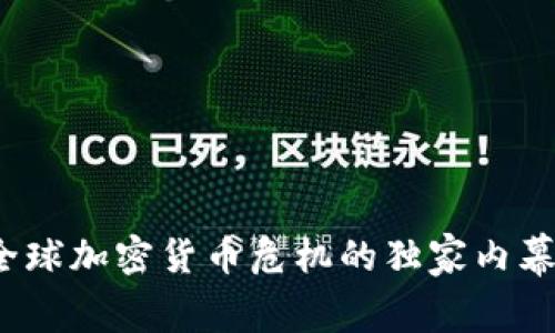 专家揭秘：全球加密货币危机的独家内幕与解决秘诀