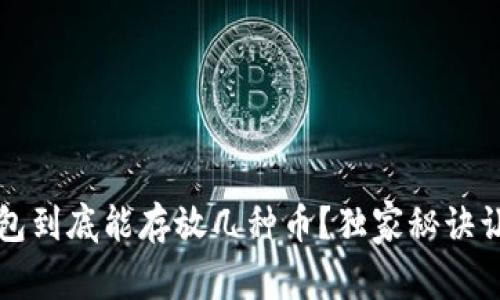 专家揭秘：冷钱包到底能存放几种币？独家秘诀让你选择更聪明！