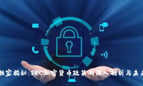专家独家揭秘：SEC加密货币政策的深入剖析与未来走向