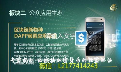 专家揭秘：区域块加密货币的独家秘诀