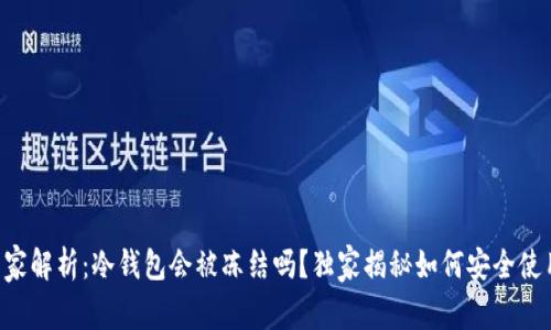 专家解析：冷钱包会被冻结吗？独家揭秘如何安全使用！