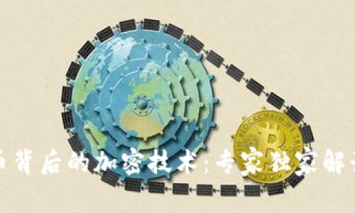 揭秘加密货币背后的加密技术：专家独家解读与使用秘诀
