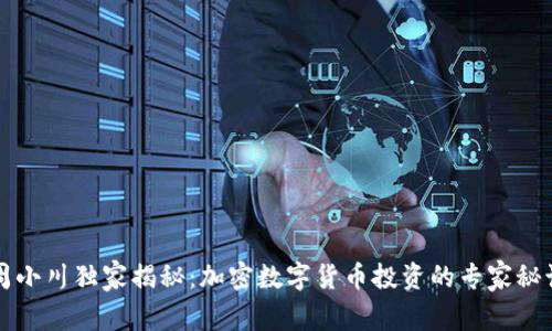 周小川独家揭秘：加密数字货币投资的专家秘诀