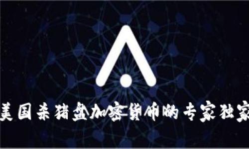 揭秘美国杀猪盘加密货币的专家独家秘诀
