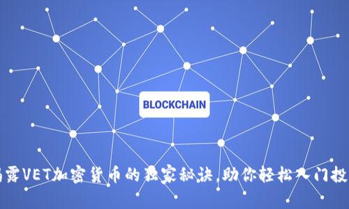 专家揭露VET加密货币的独家秘诀，助你轻松入门投资之路
