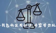 独家揭秘：DOT冷钱包的使用秘诀，专家带你玩转