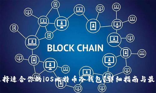 如何选择适合你的iOS比特币冷钱包？详细指南与最佳实践