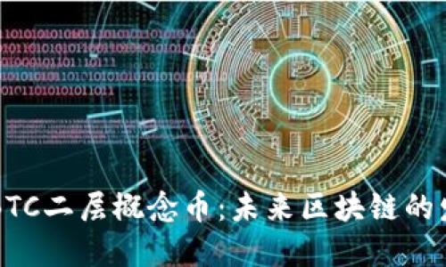 深入探讨BTC二层概念币：未来区块链的发展与应用
