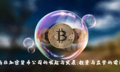 南非加密货币公司的崛起与发展：投资与监管的