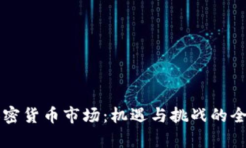 非洲加密货币市场：机遇与挑战的全景分析