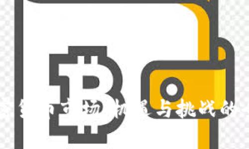 非洲加密货币市场：机遇与挑战的全景分析