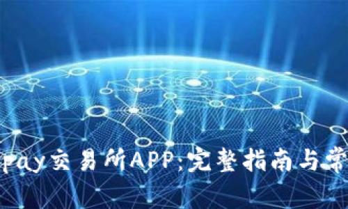 如何下载Topay交易所APP：完整指南与常见问题解答