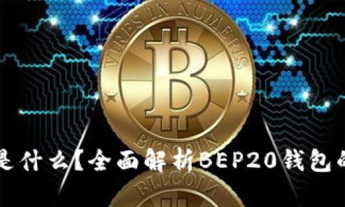 BEP20钱包是什么？全面解析BEP20钱包的功能与使用