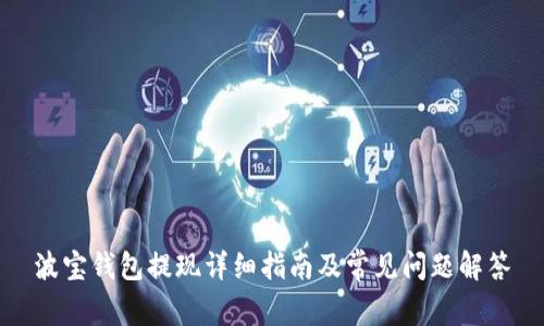 波宝钱包提现详细指南及常见问题解答