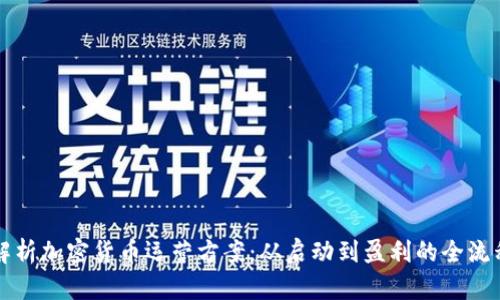 全面解析加密货币运营方案：从启动到盈利的全流程指南