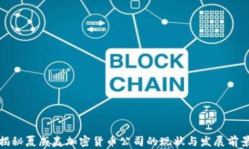 
揭秘夏威夷加密货币公司的现状与发展前景