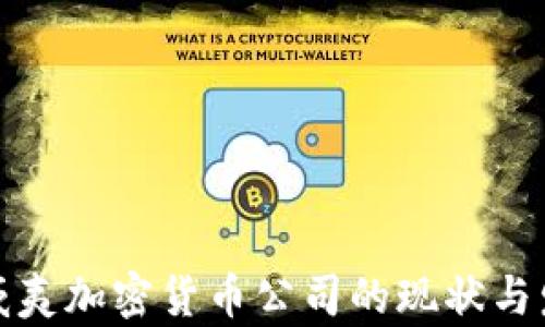 
揭秘夏威夷加密货币公司的现状与发展前景