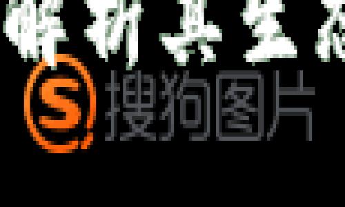 博卡系加密货币：解析其生态系统及发展前景