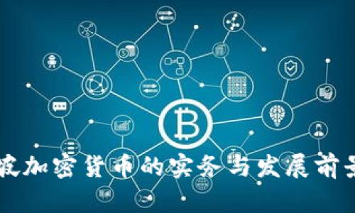 新加坡加密货币的实务与发展前景分析